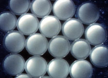 特种建材 构建卓越事业的基石