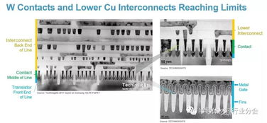 大数据驱动下的人工智能时代 功能涂料的机遇与立足之道