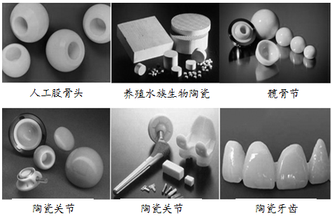 正在进入我们身体的生物陶瓷 特种建材的医学新篇章