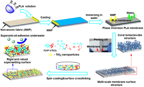 宁波材料所聚合物微孔膜刚性界面构造及油水分离研究获进展