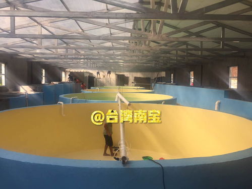 循环水工厂化水产养殖中繁育池漆与培育池漆的作用及其特种建材特性